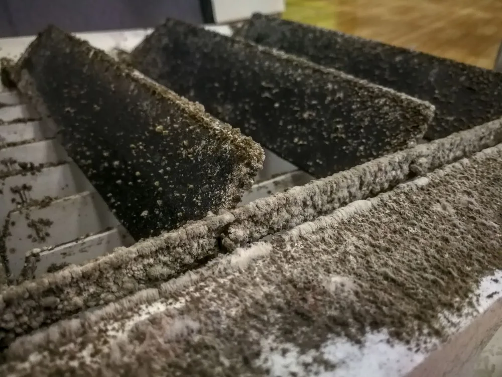 clean your air ducts regularly