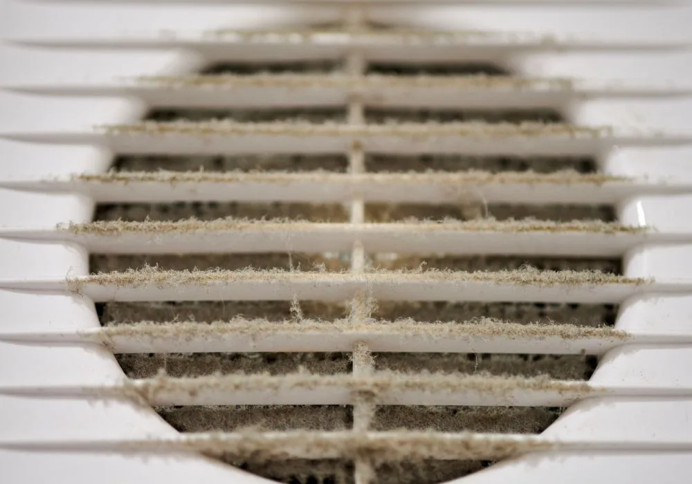 Is air duct cleaning necessary?