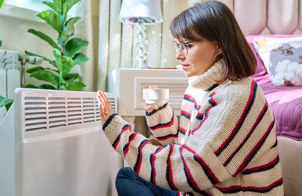 The maintenance schedule for the furnace filter