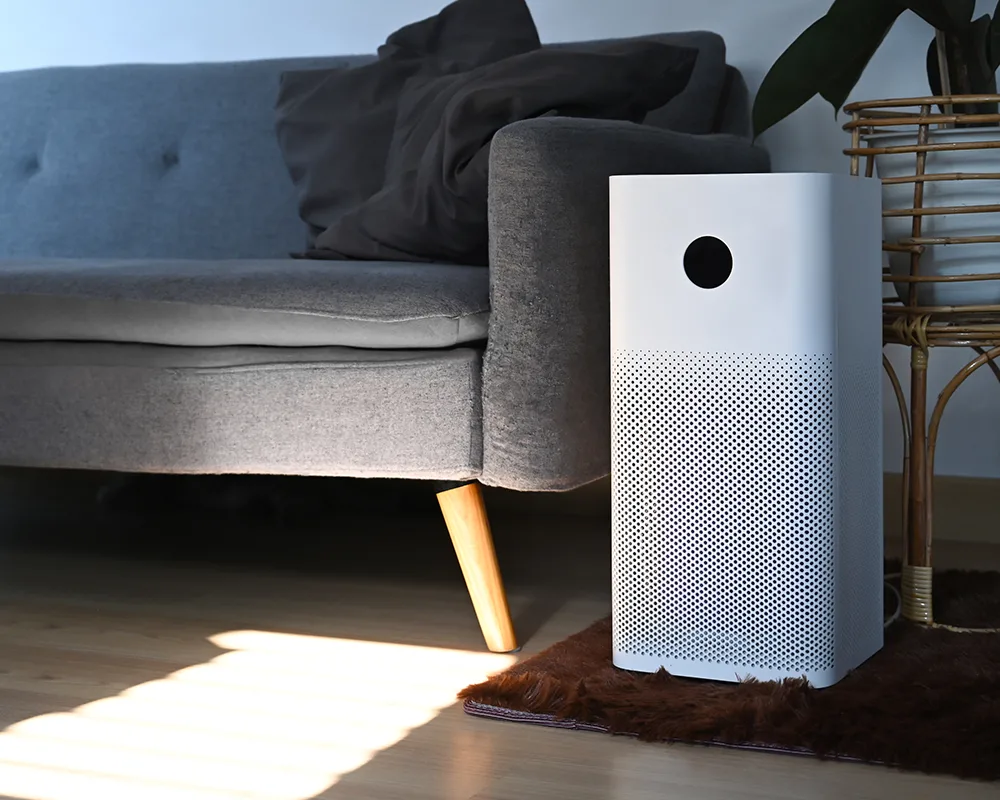 What are the disadvantages of an air purifier?