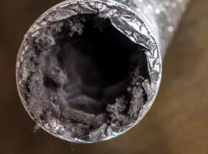 Dryer Damaged During Condo Lint Trap Maintenance